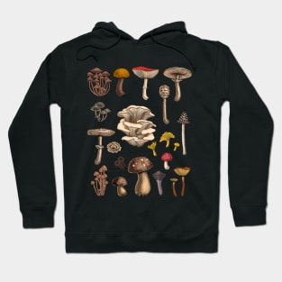 Wild mushrooms Hoodie